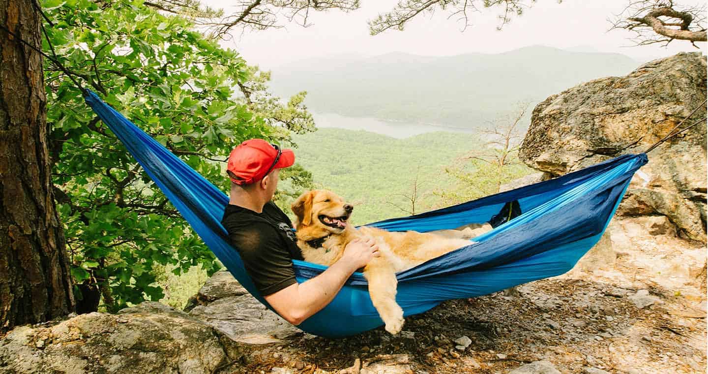 Bring Your Four-Legged Friend to Pet-Friendly Black Mountain