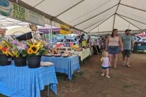 Visitors exploring a local spring farmers market near Love Ridge Mountain Lodging, ideal for a digital detox retreat with fresh flowers, artisan goods, and family-friendly activities.